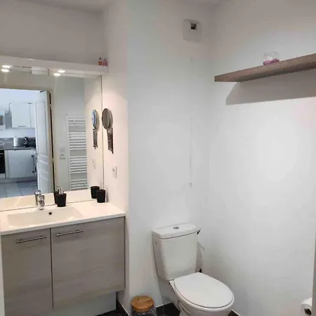 Beautiful T2 Proximity To Lyon Near Arena Stade Groupama *